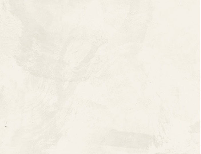 Nuvola Silk Metallic Paint – Iridescent Decorative Wall Finish - Marmorino