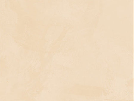 Nuvola Silk Metallic Paint – Iridescent Decorative Wall Finish - Marmorino