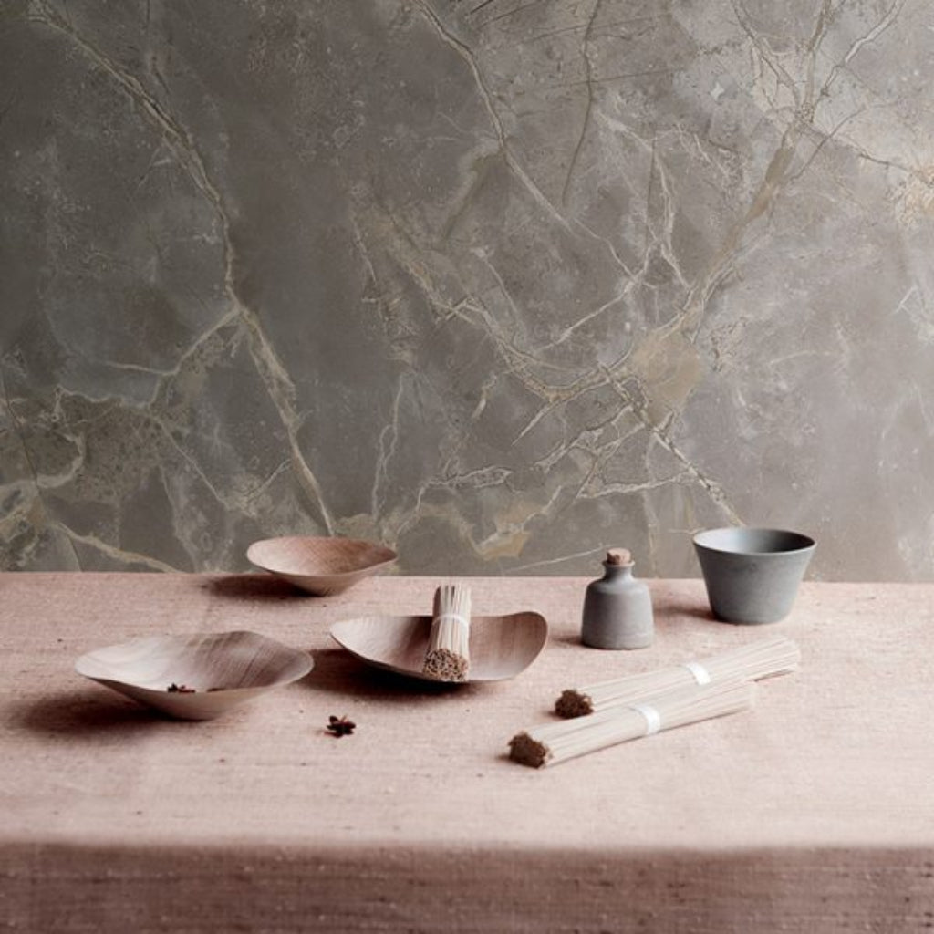 Stucco Antico Venetian Plaster – Polished Marble Wall Finish - Marmorino